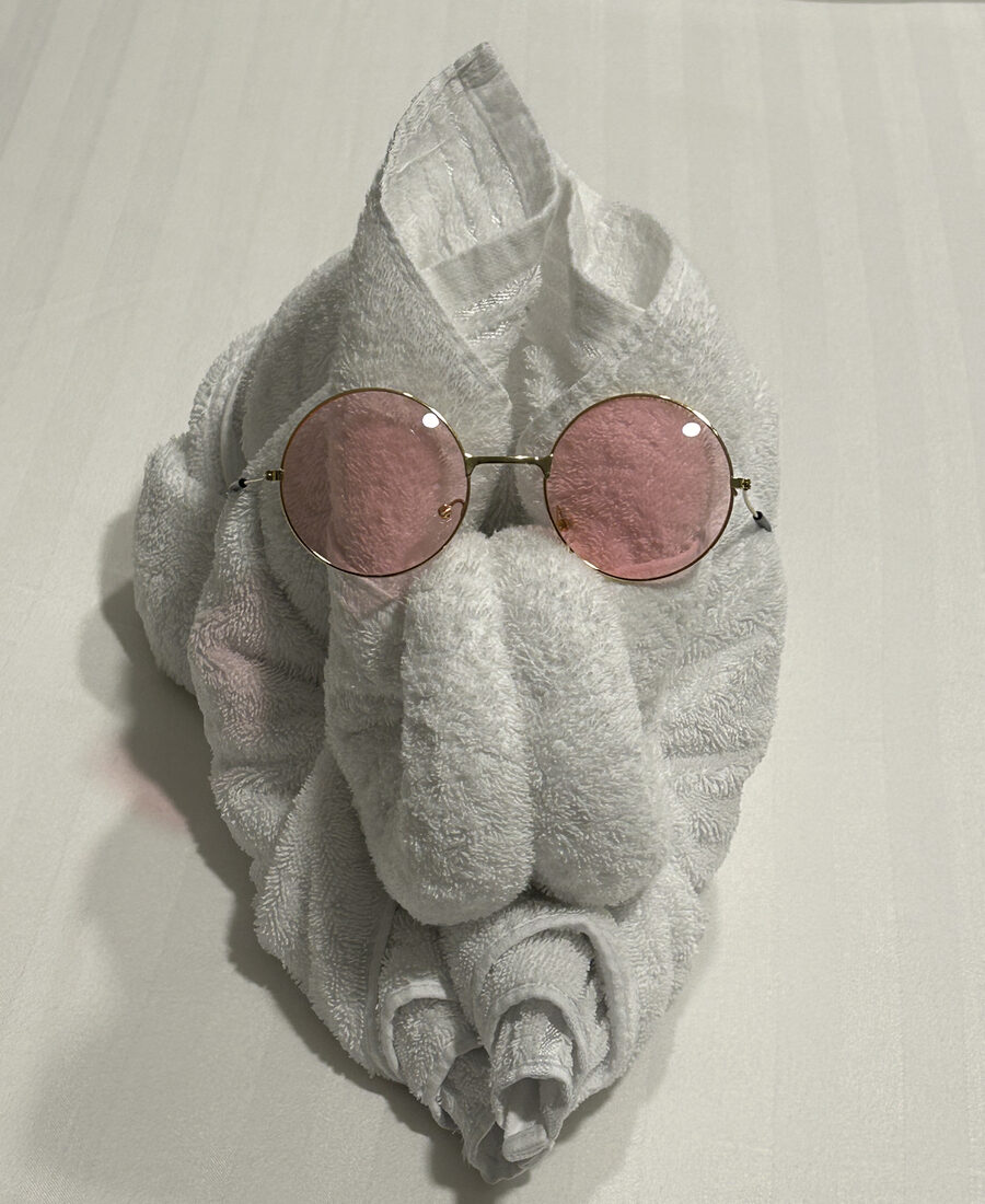 A towel animal styled with sunglasses