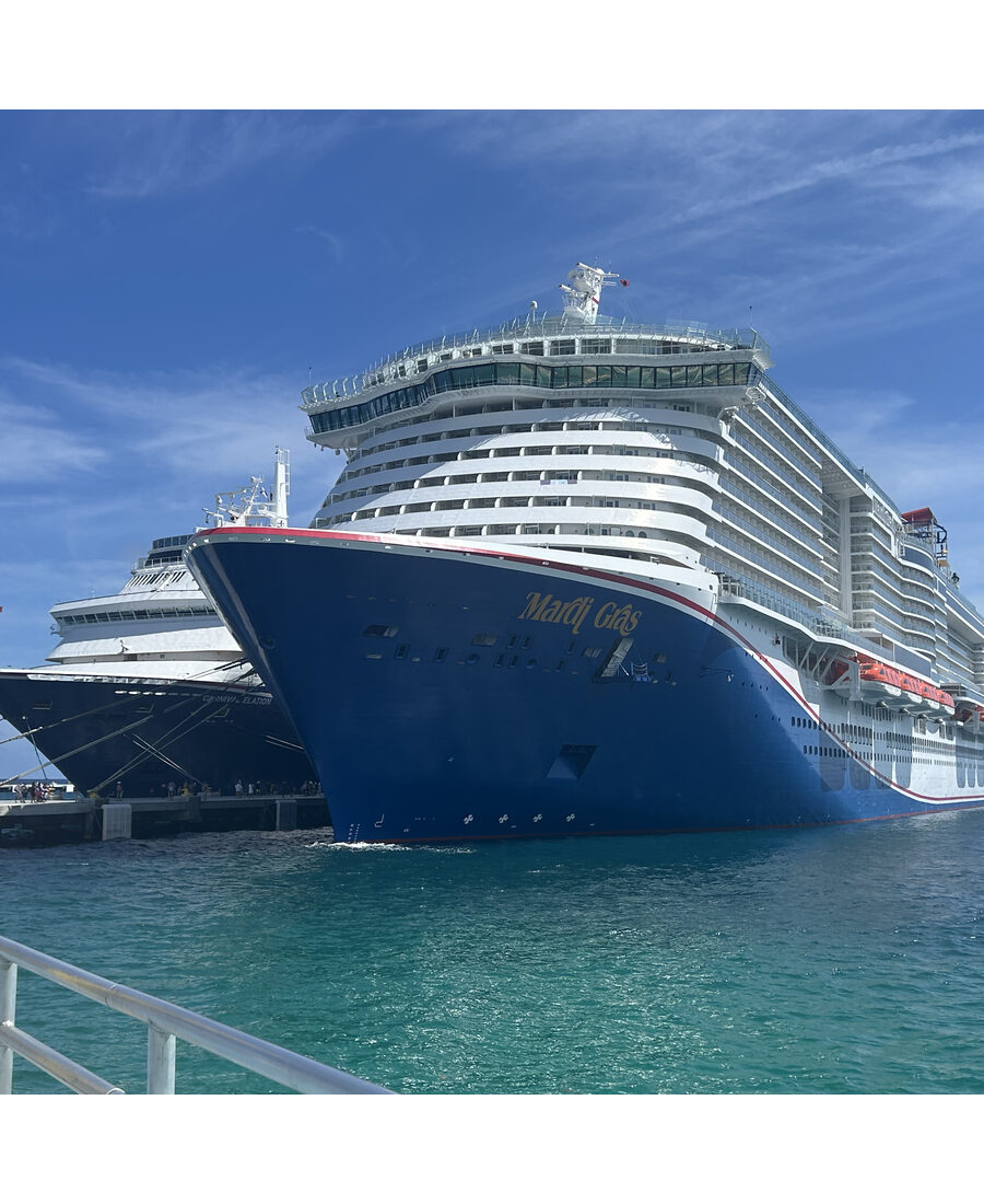 Cruise ships in port